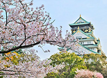 替补奇兵韩子龙第75分钟破门，云南玉昆主场2-1重夺优势